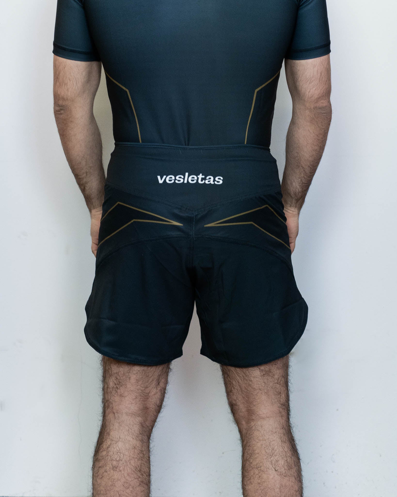 Fightshorts BJJ Shorts MMA Shorts